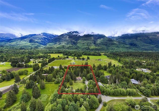 8368 Birdsview Meadows Ln, Concrete, WA 98237 - aerial view of property's location featuring a mountain backdrop and property boundaries highlighted