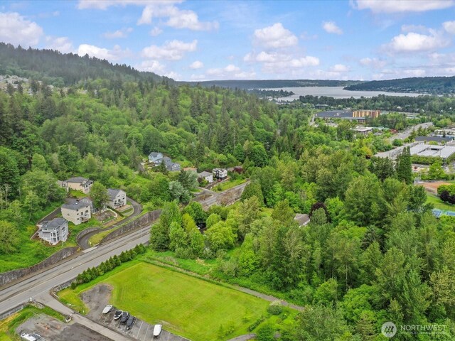 667 17th Ave NW, Issaquah, WA 98027 - aerial view of a heavily wooded area