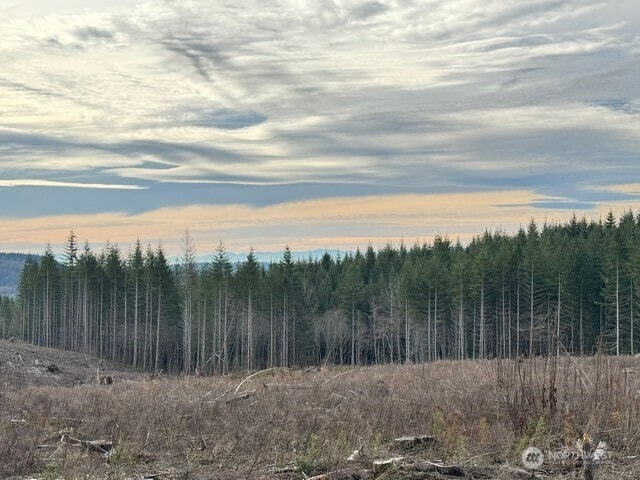 0 August Rd, Onalaska, WA 98570
