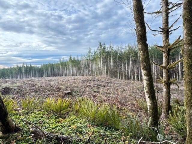 0 August Rd, Onalaska, WA 98570