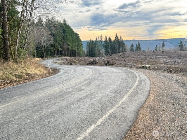 0 August Rd, Onalaska, WA 98570
