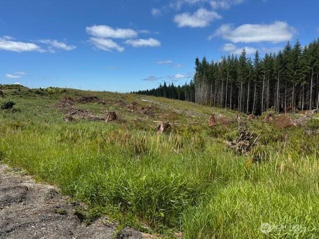 0 August Rd, Onalaska, WA 98570 - photo 8
