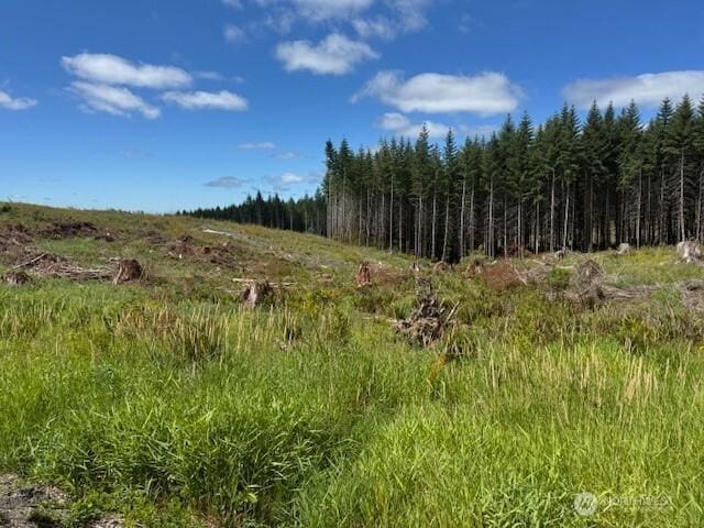 0 August Rd, Onalaska, WA 98570 - photo 9