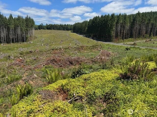 0 August Rd, Onalaska, WA 98570 - photo 11