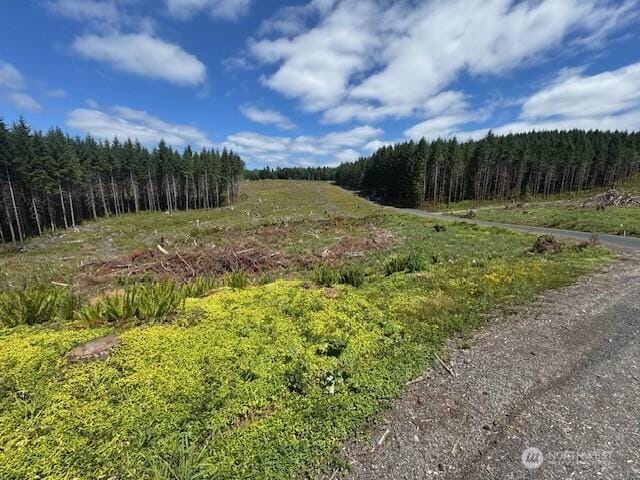 0 August Rd, Onalaska, WA 98570 - photo 13