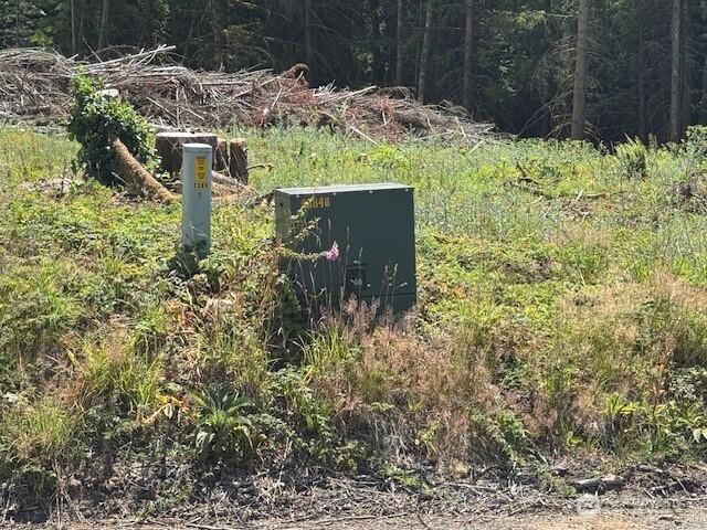 0 August Rd, Onalaska, WA 98570 - photo 15