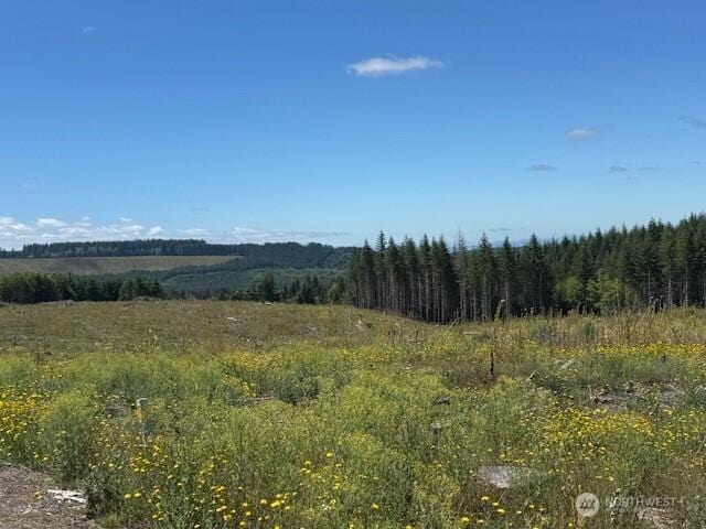 0 August Rd, Onalaska, WA 98570 - photo 16