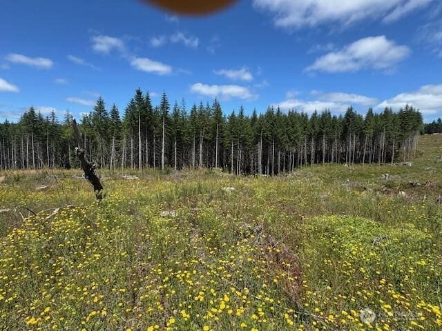 0 August Rd, Onalaska, WA 98570 - photo 17