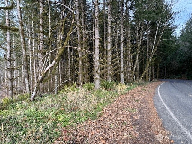 0 August Rd, Onalaska, WA 98570 - photo 21