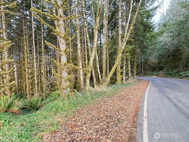 0 August Rd, Onalaska, WA 98570 - photo 22