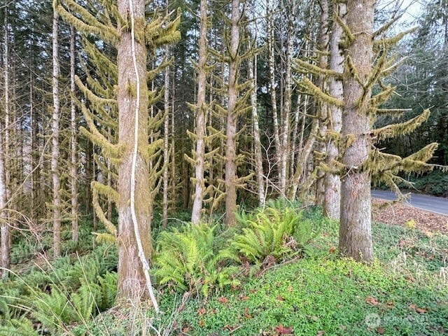 0 August Rd, Onalaska, WA 98570 - photo 23