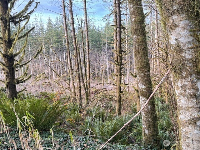 0 August Rd, Onalaska, WA 98570 - photo 25