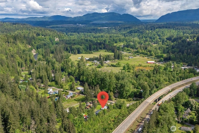 21813 223rd Pl SE, Maple Valley, WA 98038 - aerial view of property's location featuring a heavily wooded area and a mountain backdrop