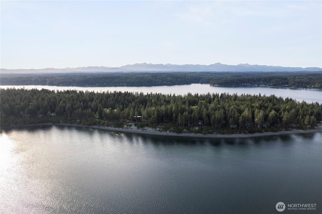 water view featuring mountains and a heavily wooded area