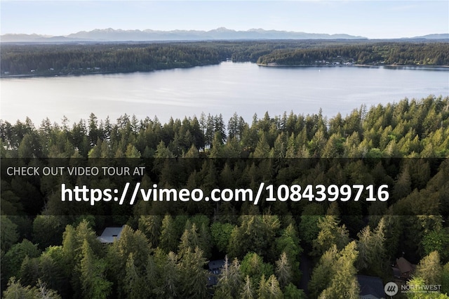 drone / aerial view of a forest and a water and mountain view
