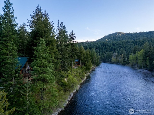 water view with a forest