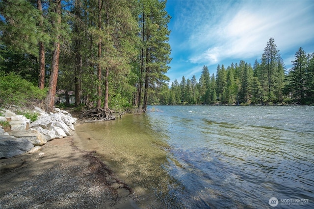 22713 Saddle St, Leavenworth, WA 98826 - water view with a heavily wooded area
