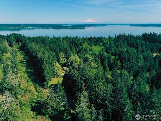 5311 155th Ave NW, Lakebay, WA 98349 - photo 1