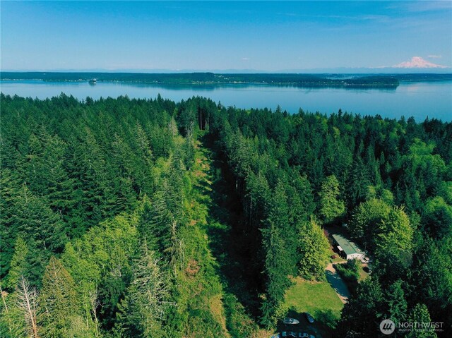 5311 155th Ave NW, Lakebay, WA 98349 - photo 3