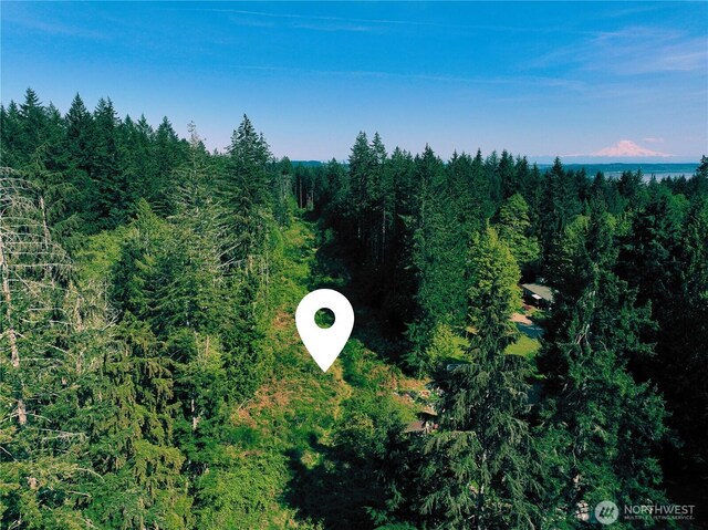 5311 155th Ave NW, Lakebay, WA 98349 - photo 4