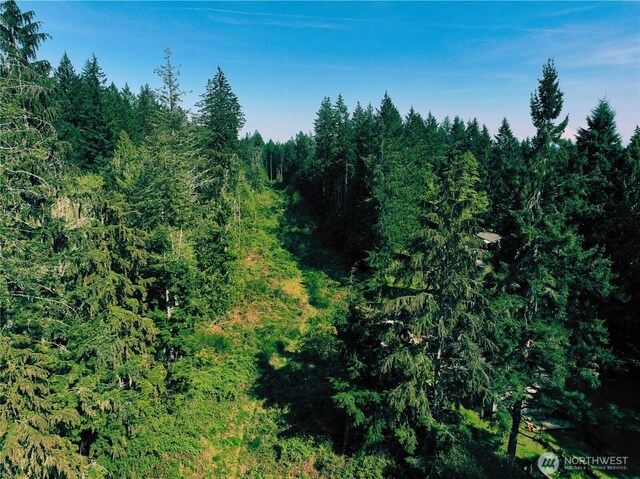 5311 155th Ave NW, Lakebay, WA 98349 - photo 5
