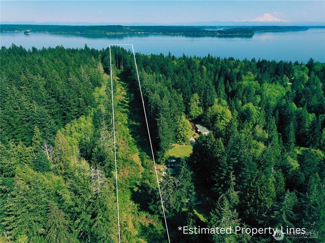 5311 155th Ave NW, Lakebay, WA 98349 - photo 11