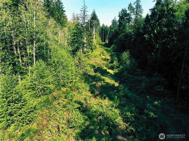 5311 155th Ave NW, Lakebay, WA 98349 - photo 15