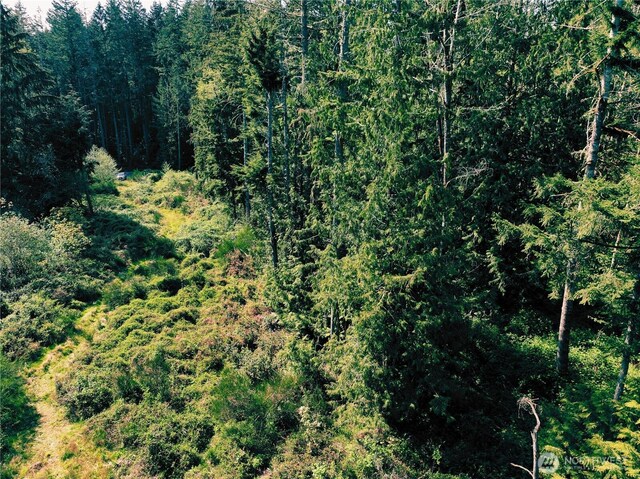 5311 155th Ave NW, Lakebay, WA 98349 - photo 16