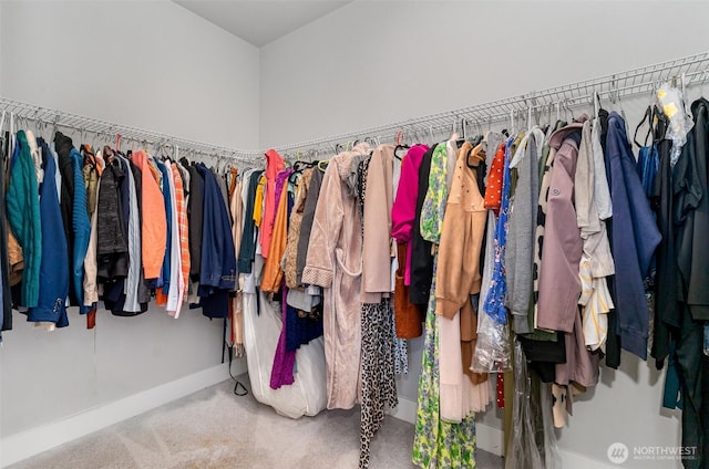 spacious closet featuring carpet flooring