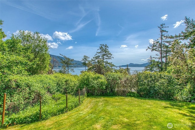 55 Langell Ln, Orcas Island, WA 98245 - view of yard with a mountain view