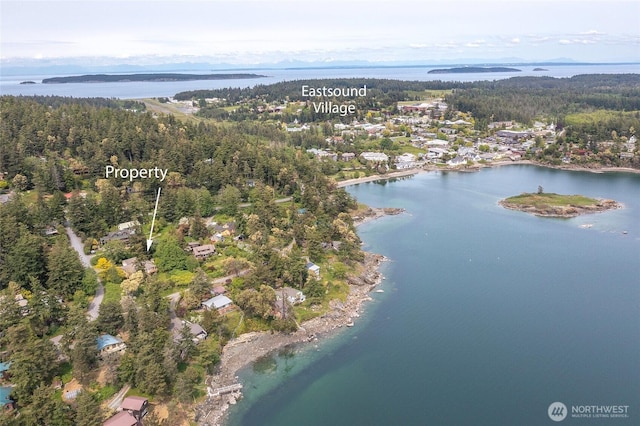 55 Langell Ln, Orcas Island, WA 98245 - view of property location featuring a forest and a nearby body of water