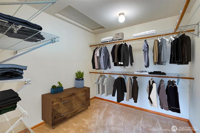 55 Langell Ln, Orcas Island, WA 98245 - spacious closet with carpet floors