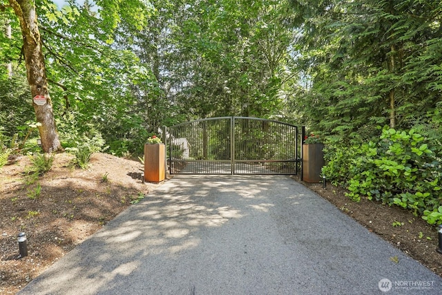 17612 SE 236th Pl, Kent, WA 98042 - photo 35