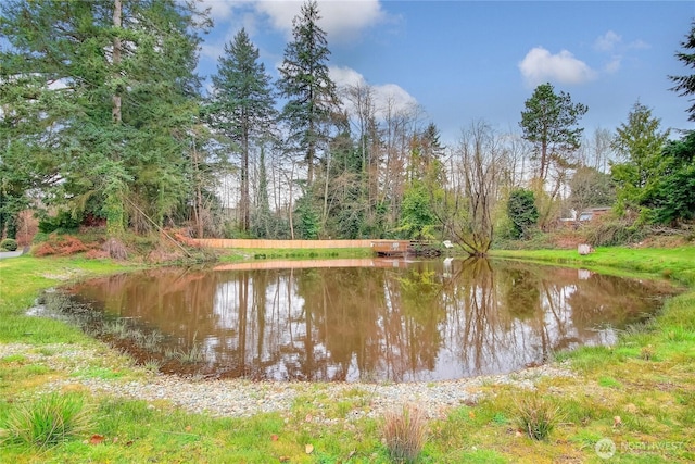 14322 Admiralty Way Unit 51, Lynnwood, WA 98087 - photo 22