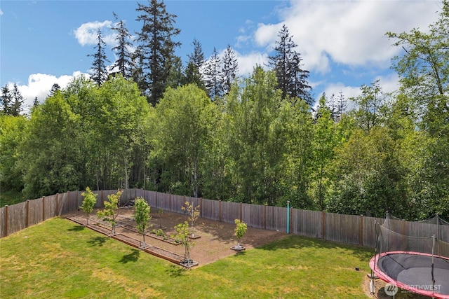 13800 27th Dr NW, Tulalip, WA 98271 - view of yard featuring a trampoline and a vegetable garden