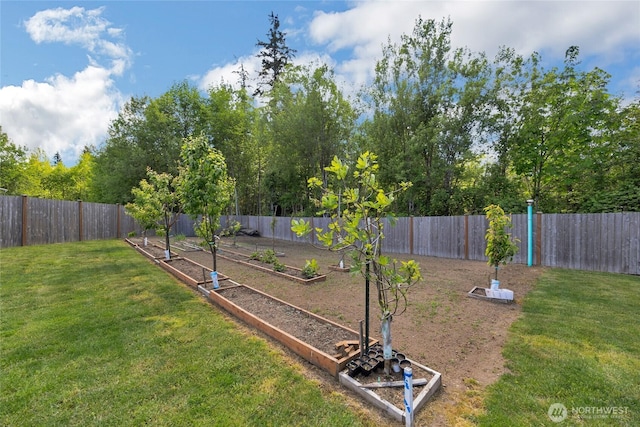 13800 27th Dr NW, Tulalip, WA 98271 - view of yard with a vegetable garden