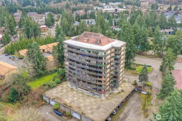 drone / aerial view