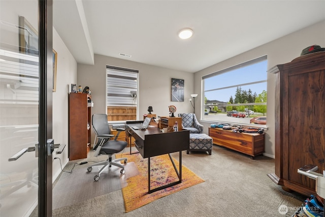 20006 149th St E, Bonney Lake, WA 98391 - office with carpet floors