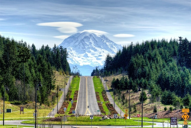 20006 149th St E, Bonney Lake, WA 98391 - mountain view