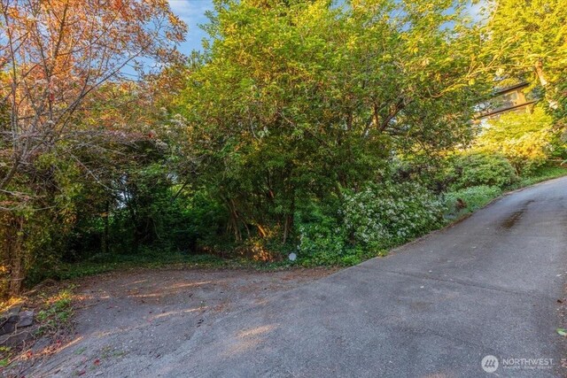 16015 Inglewood Rd NE, Kenmore, WA 98028 - view of road with a forest view