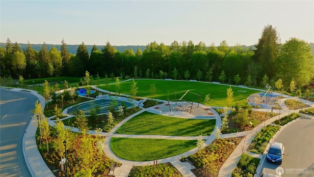 27335SITE401 NE Walden Way, Duvall, WA 98019 - drone / aerial view