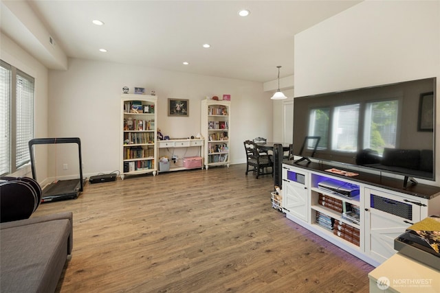 625 Argyle Ave Unit D, Friday Harbor, WA 98250 - living room with wood finished floors and recessed lighting