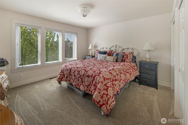 625 Argyle Ave Unit D, Friday Harbor, WA 98250 - bedroom with baseboards, carpet floors, and a closet