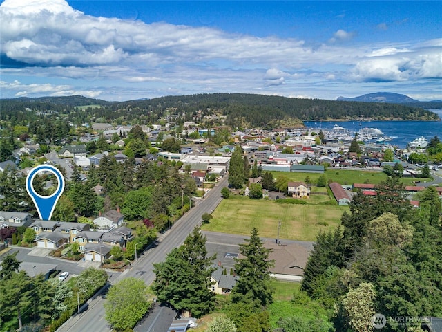 625 Argyle Ave Unit D, Friday Harbor, WA 98250 - aerial perspective of suburban area with mountains
