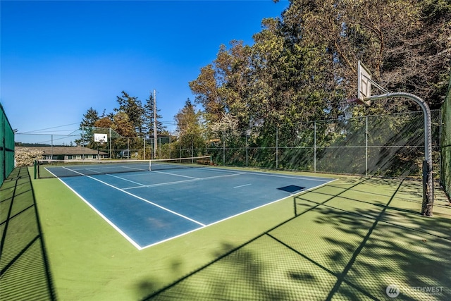 625 Argyle Ave Unit D, Friday Harbor, WA 98250 - view of tennis court with community basketball court and fence