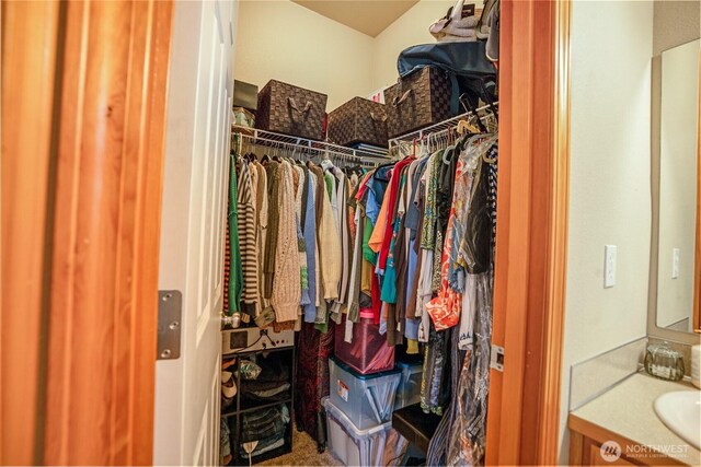 spacious closet featuring a sink