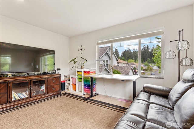 living area with wood finished floors