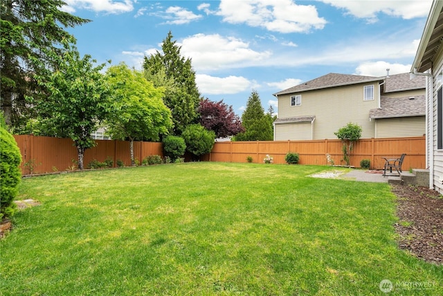 view of yard featuring a patio area