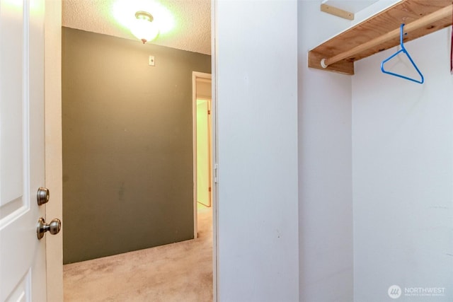7308 N Skyview Ln Unit I-204, Tacoma, WA 98406 - spacious closet with carpet