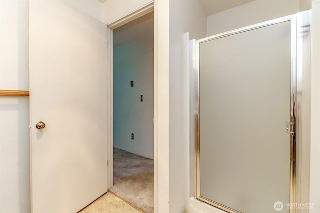 7308 N Skyview Ln Unit I-204, Tacoma, WA 98406 - bathroom featuring a stall shower